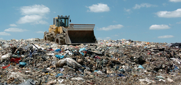 Terminator Pest Control Waste Sites and Landfills
